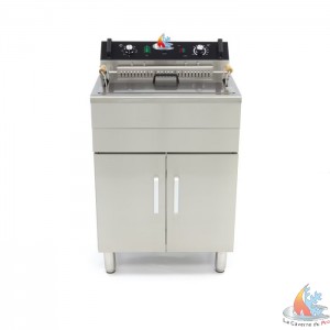 /15417-31378-thickbox/friteuse-electrique-1-cuve-16-litres.jpg