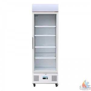 /16687-35302-thickbox/vitrine-refrigeree-positive-blanche-336l-l620xp570xh1982-mm.jpg
