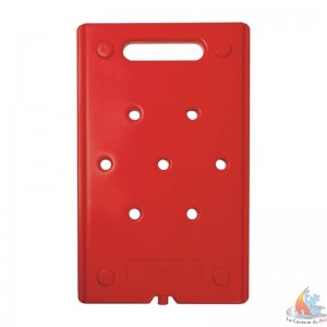 /8732-35716-thickbox/plaque-chauffante-gn-1-1-84c.jpg