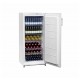 Armoire statique 254 Litres 0° à 8°C  60x62xh145 cm