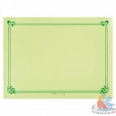 Set de table saumon  43x31 cm